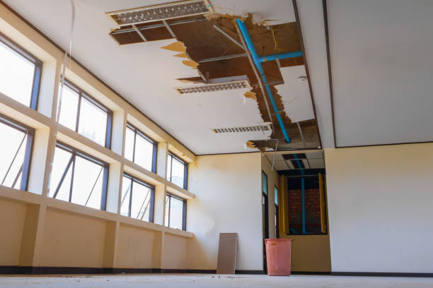 Best Residential water damage restoration  in Dulce, NM