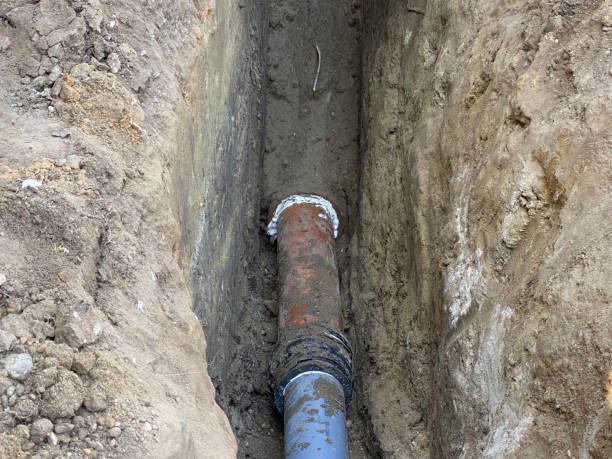 Best Emergency water extraction  in Dulce, NM