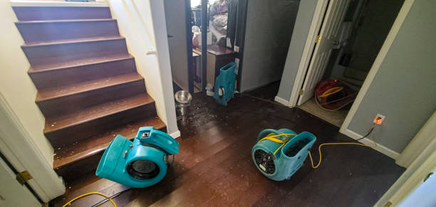Best Water damage restoration near me  in Dulce, NM