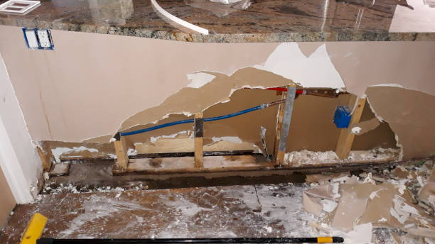 Best Ceiling water damage repair  in Dulce, NM