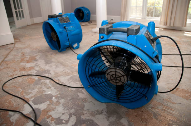 Best Water damage restoration mold remediation  in Dulce, NM