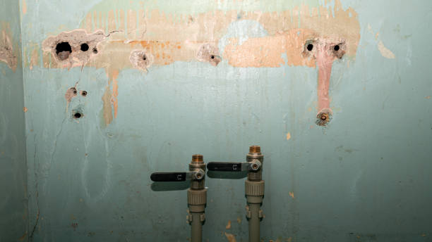 Best Water damage restoration near me  in Dulce, NM
