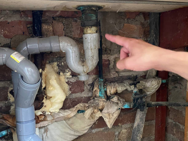 Best Water damage cleanup near me  in Dulce, NM