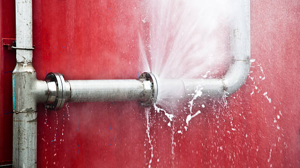 Best Flooded house restoration  in Dulce, NM