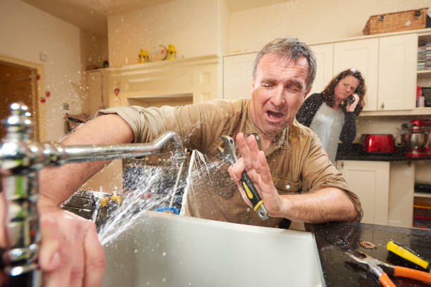 Best Local water damage restoration  in Dulce, NM